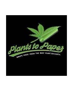 plants to paper cannabis paper